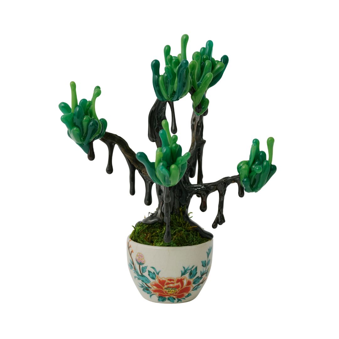 【 NEW! 】萌昇樹 　ほうしょうじゅ