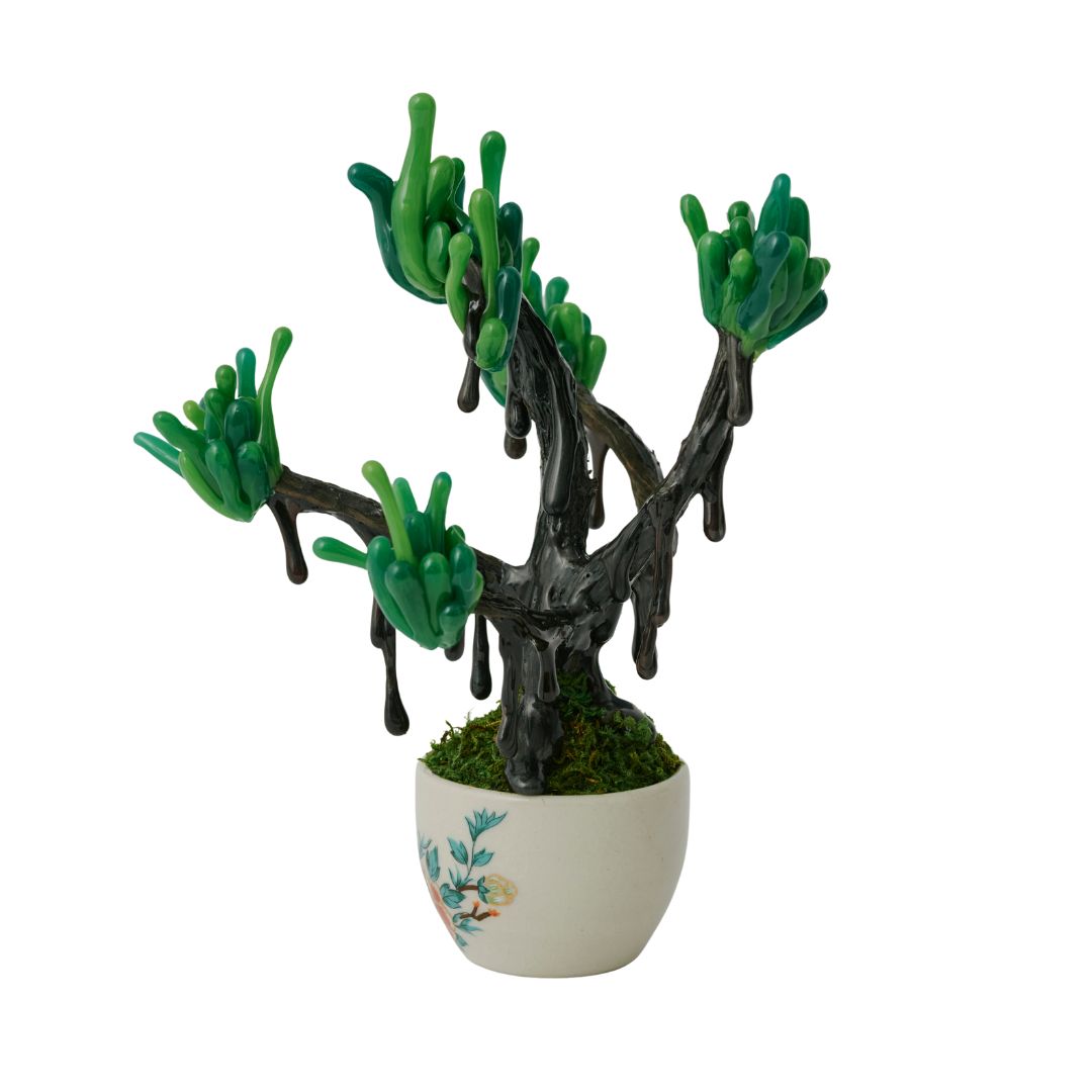 【 NEW! 】萌昇樹 　ほうしょうじゅ