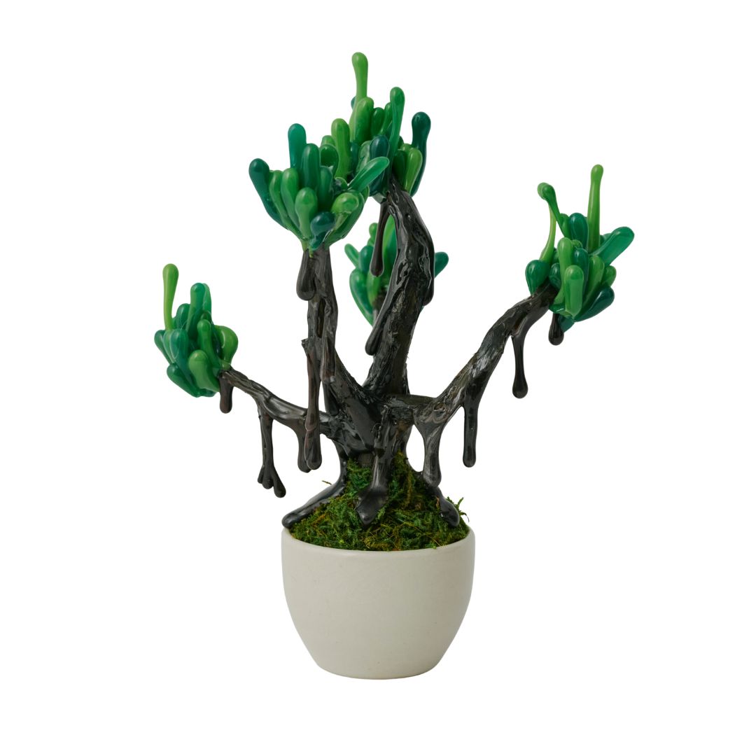 【 NEW! 】萌昇樹 　ほうしょうじゅ