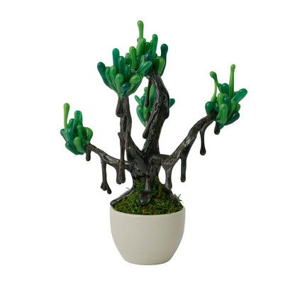 【 NEW! 】萌昇樹 　ほうしょうじゅ