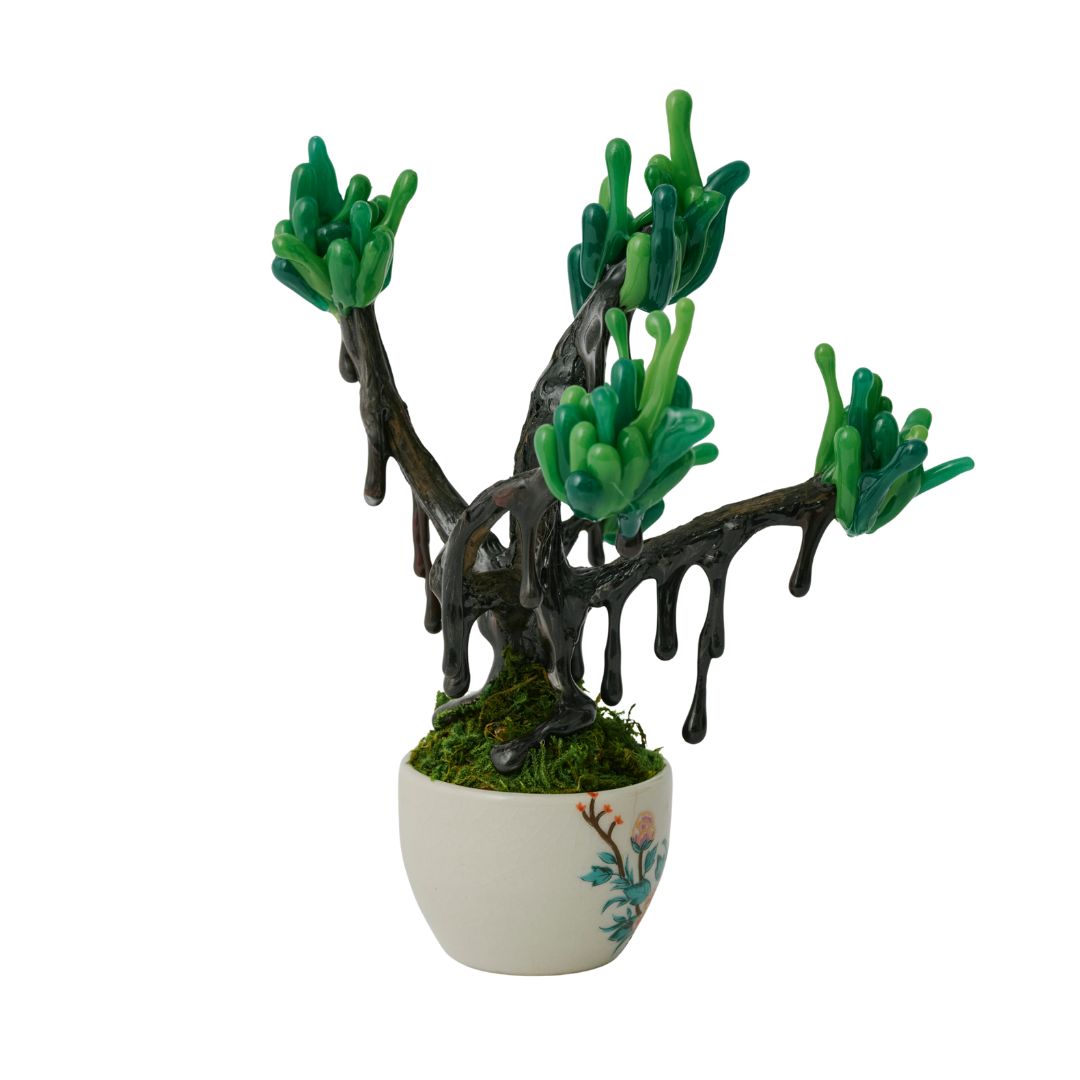 【 NEW! 】萌昇樹 　ほうしょうじゅ