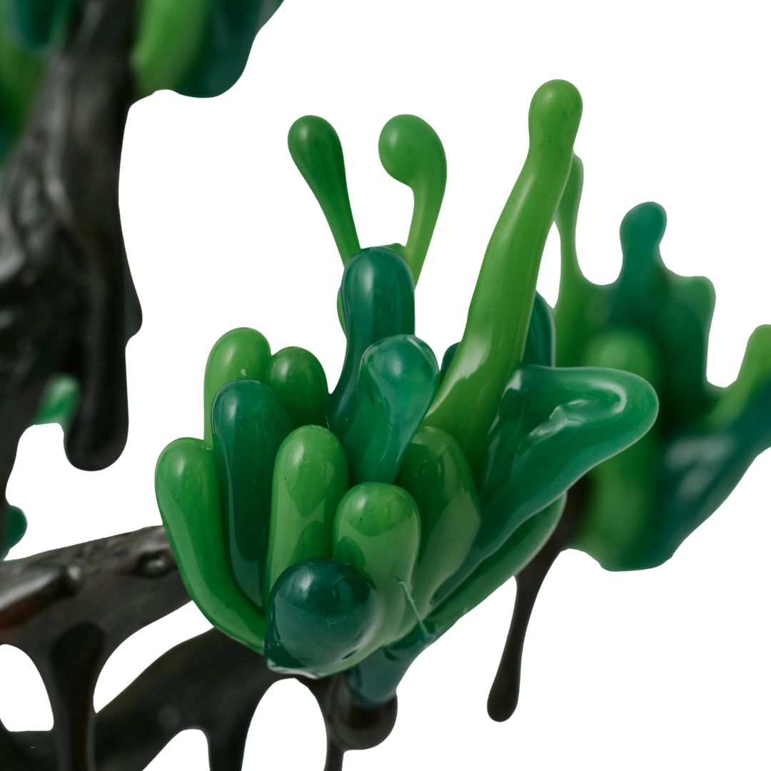 【 NEW! 】萌昇樹 　ほうしょうじゅ