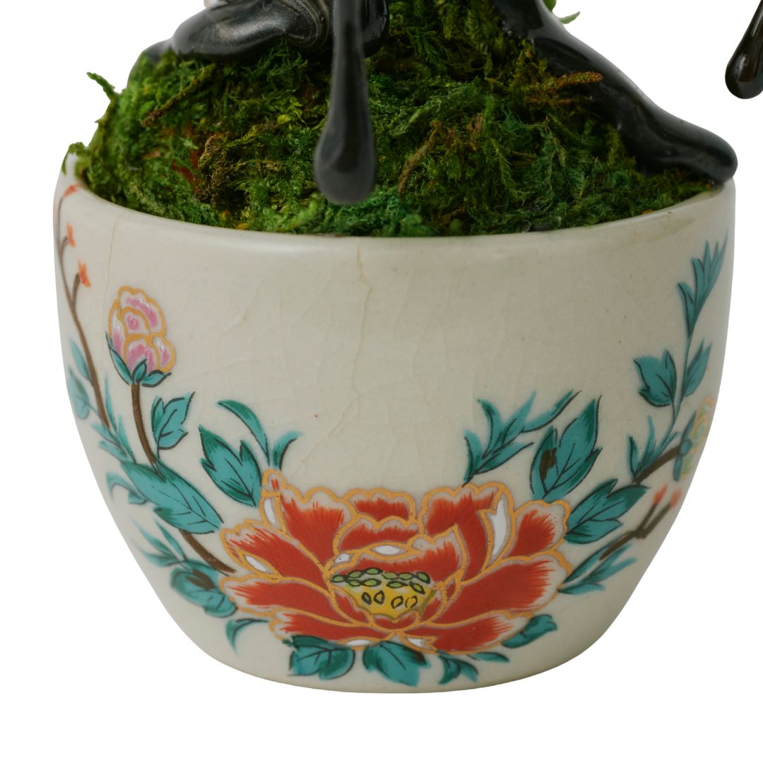 【 NEW! 】萌昇樹 　ほうしょうじゅ