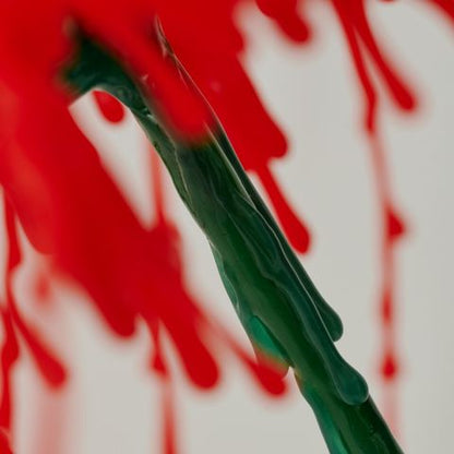 【 NEW! 】すれ違う花