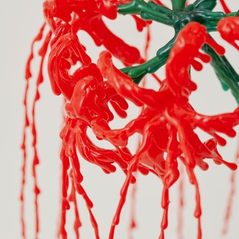 【 NEW! 】すれ違う花