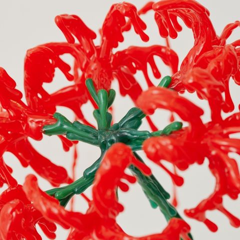 【 NEW! 】すれ違う花