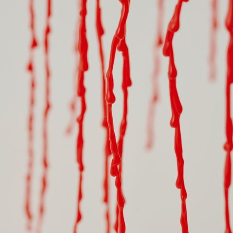 【 NEW! 】すれ違う花