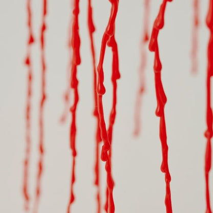 【 NEW! 】すれ違う花