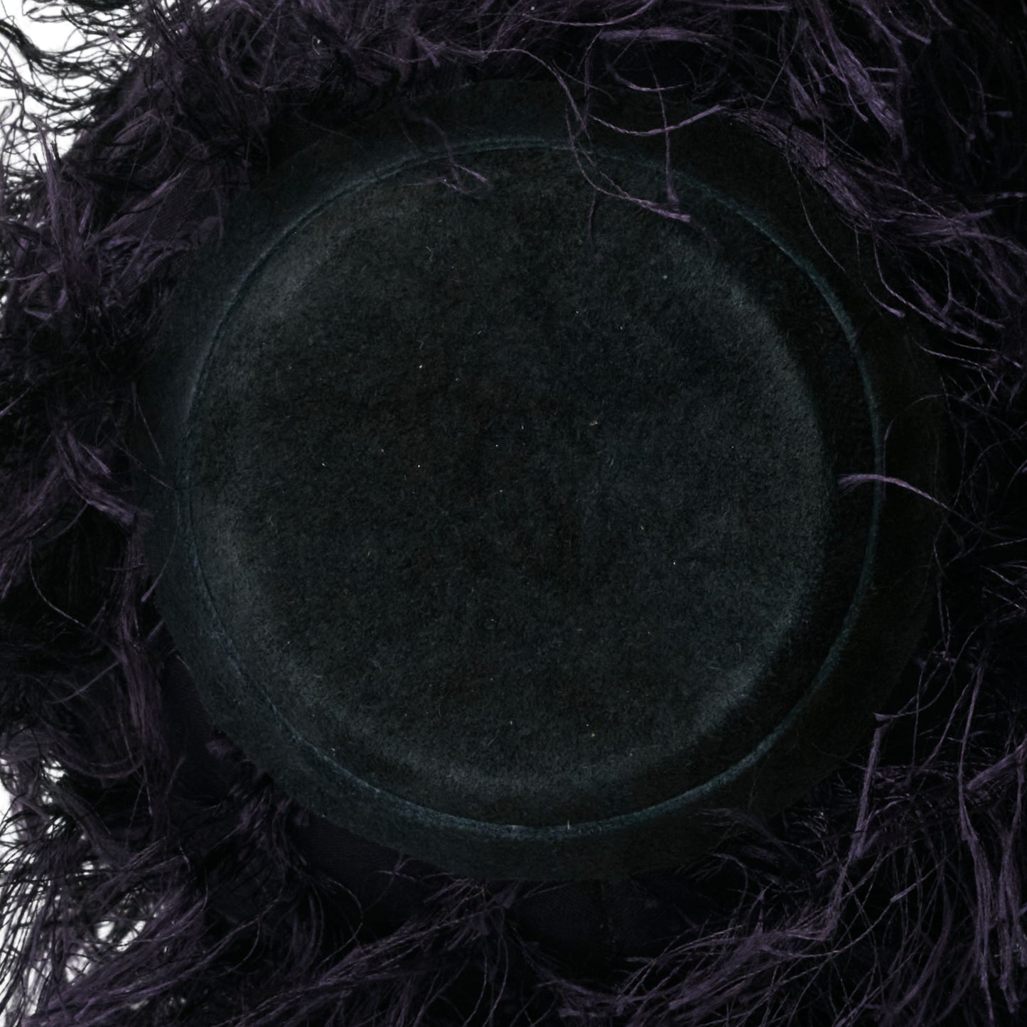 【NEW】VIOLET FERAL